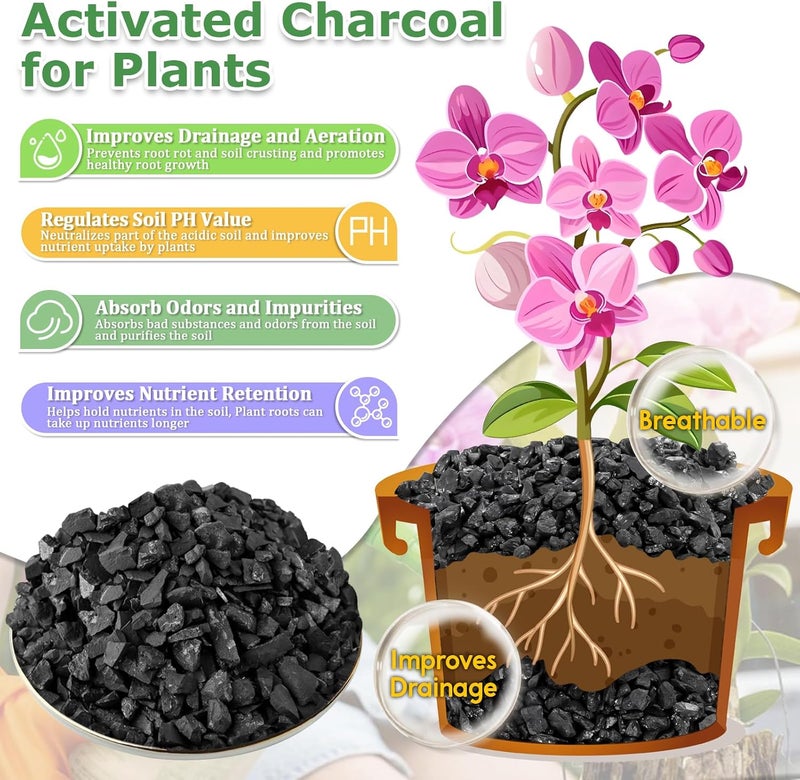 Legigo 4QT All Natural Horticultural Charcoal- Activated Hardwood Plant Charcoal for Soil Amendment, Conditioning Bonsai Soil, Succulent, Terrarium Supplies, Indoor Plant Potting Soil - Image 3